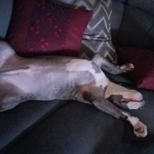 Meet your Posher, Nathan